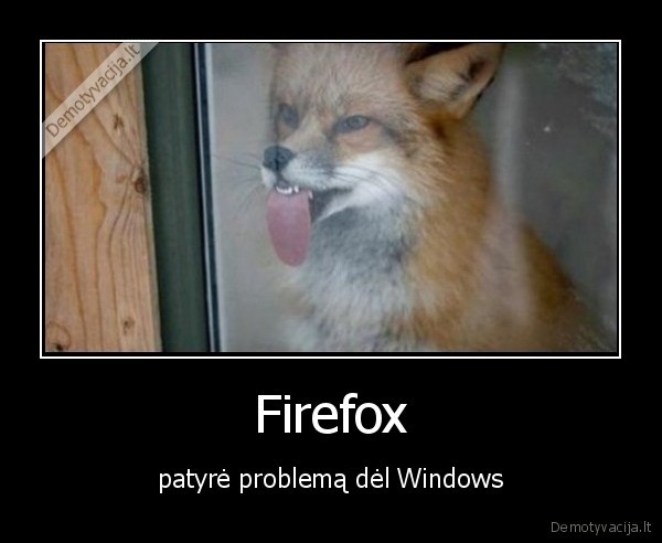 Firefox - patyrė problemą dėl Windows