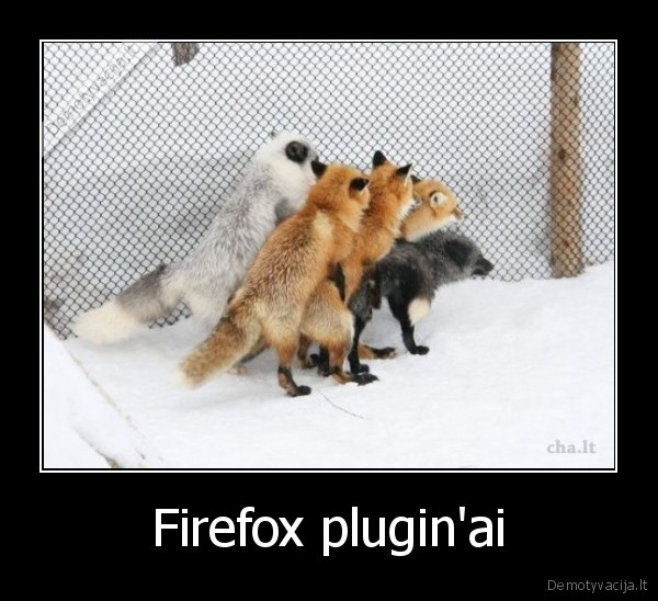 Firefox plugin'ai - 