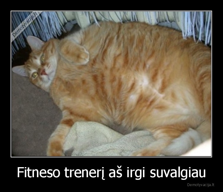 Fitneso trenerį aš irgi suvalgiau - 