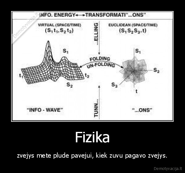 Fizika - zvejys mete plude pavejui, kiek zuvu pagavo zvejys.