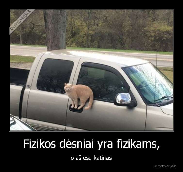 Fizikos dėsniai yra fizikams, - o aš esu katinas