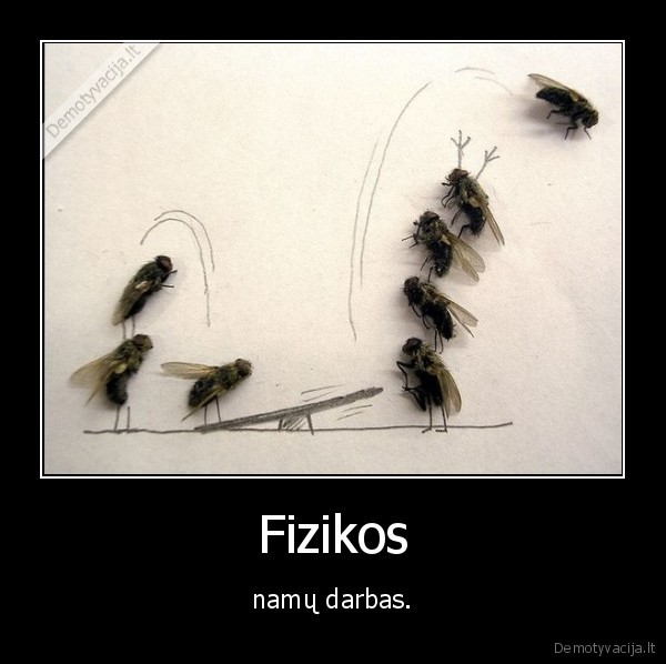 Fizikos - namų darbas.