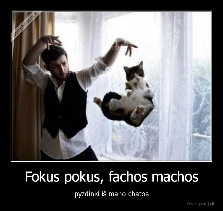 Fokus pokus, fachos machos - pyzdinki iš mano chatos