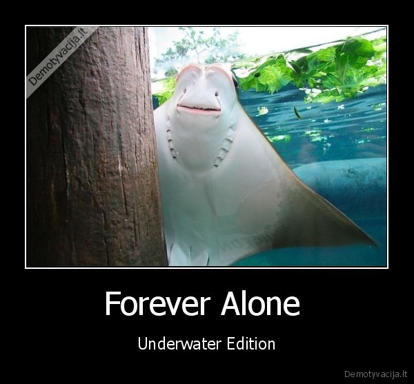 Forever Alone  - Underwater Edition