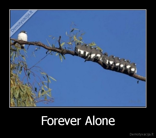 Forever Alone - 