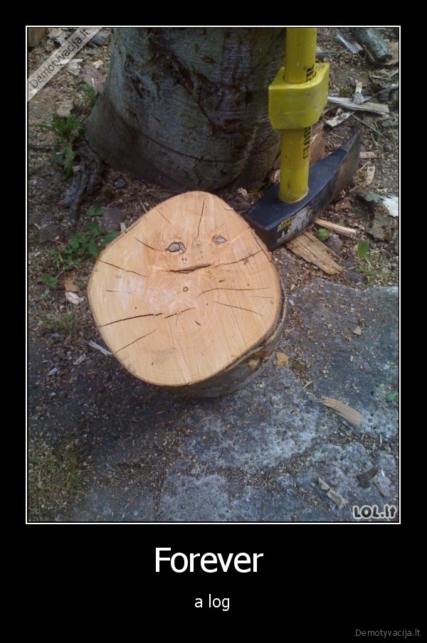 Forever  - a log