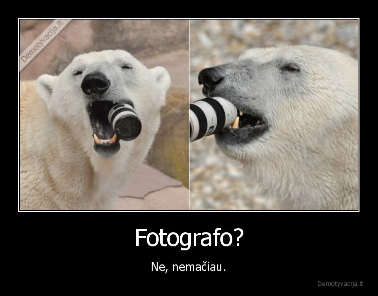 Fotografo? - Ne, nemačiau.