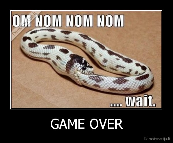 GAME OVER - 