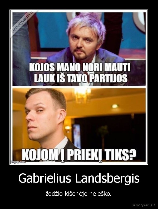 Gabrielius Landsbergis - žodžio kišenėje neieško.