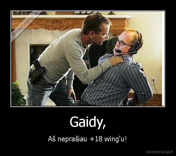 Gaidy, - Aš neprašiau +18 wing'u!