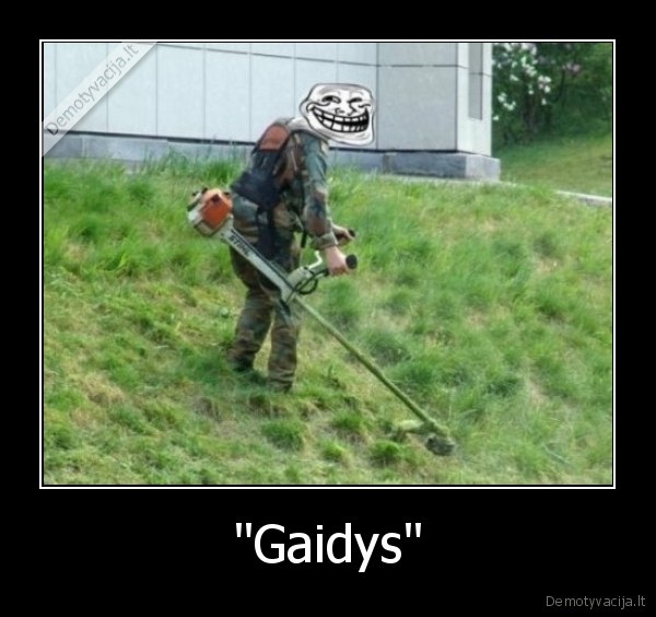 "Gaidys" - 