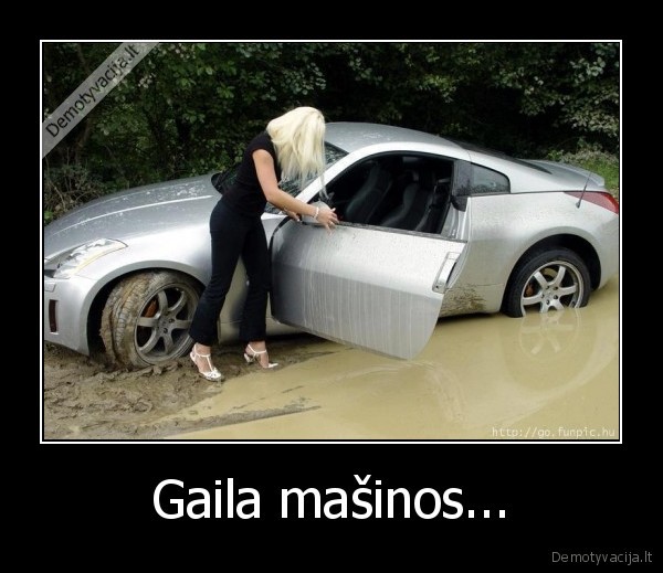 Gaila mašinos... - 