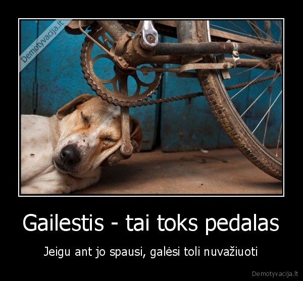 Gailestis - tai toks pedalas - Jeigu ant jo spausi, galėsi toli nuvažiuoti