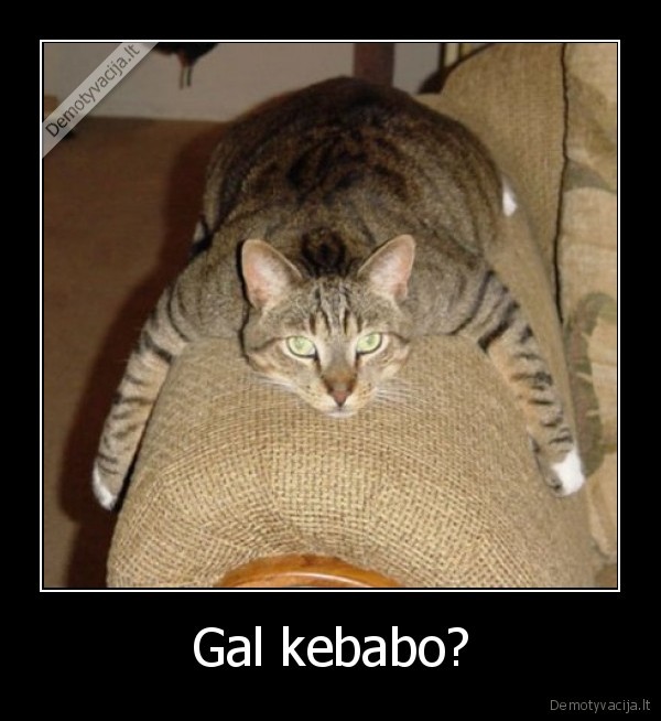 Gal kebabo? - 