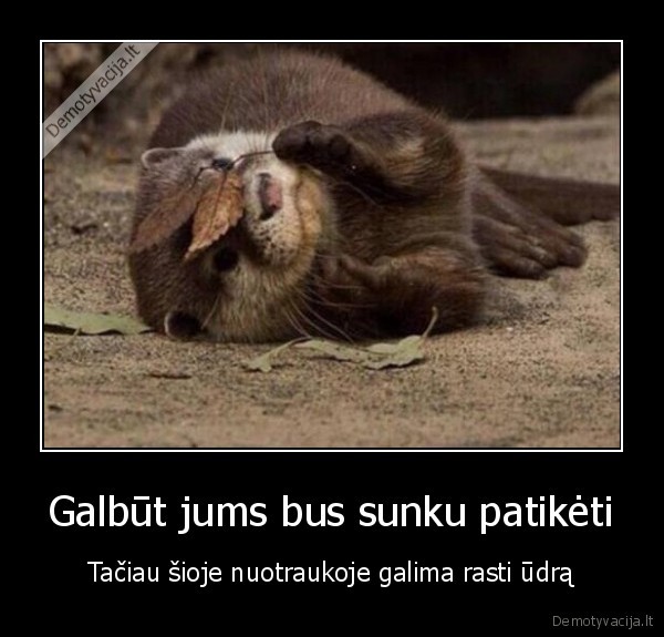 Galbūt jums bus sunku patikėti - Tačiau šioje nuotraukoje galima rasti ūdrą