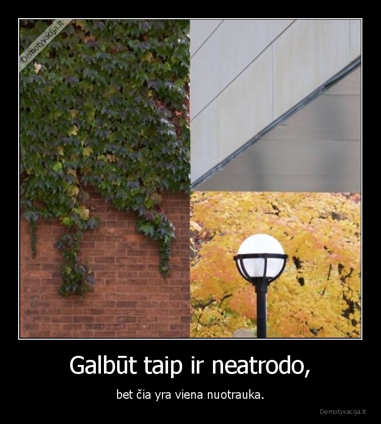 Galbūt taip ir neatrodo, - bet čia yra viena nuotrauka.