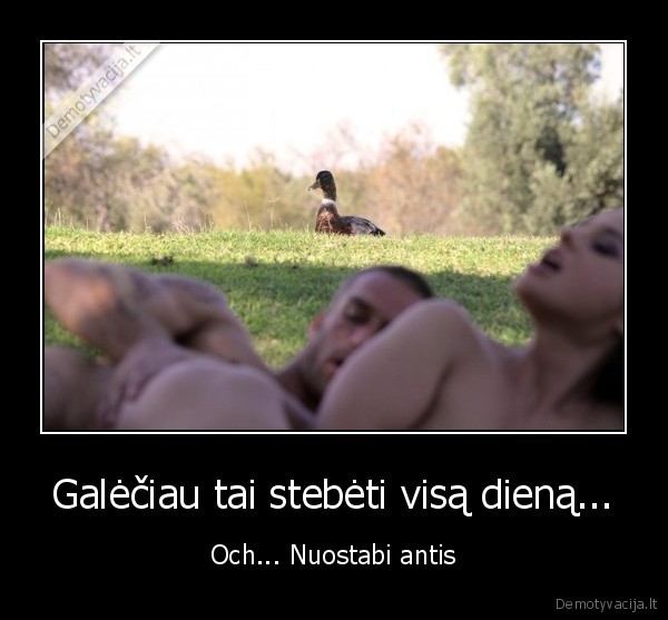 Galėčiau tai stebėti visą dieną... - Och... Nuostabi antis