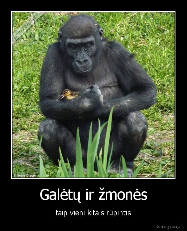 Galėtų ir žmonės - taip vieni kitais rūpintis