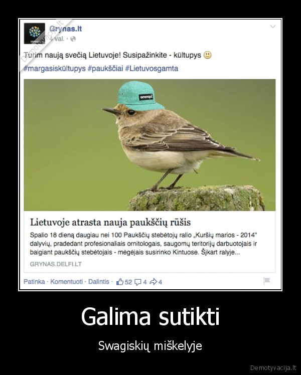 Galima sutikti - Swagiskių miškelyje