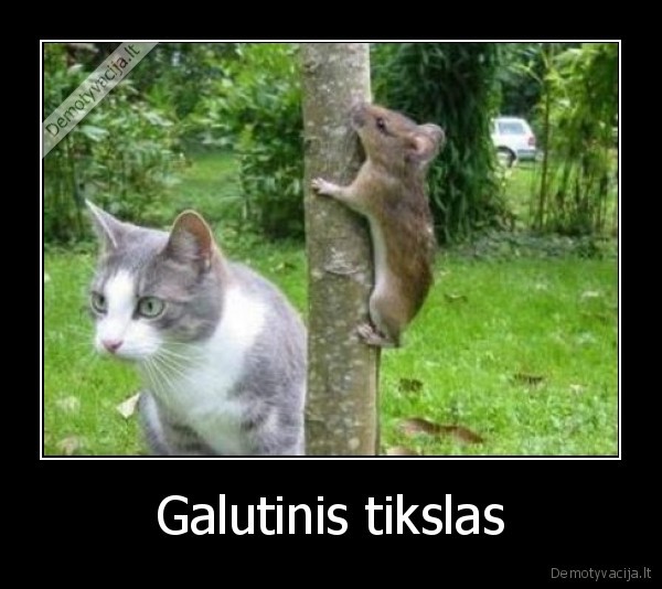 Galutinis tikslas - 