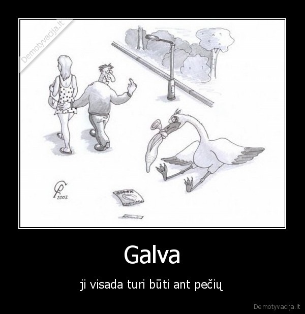 Galva - ji visada turi būti ant pečių