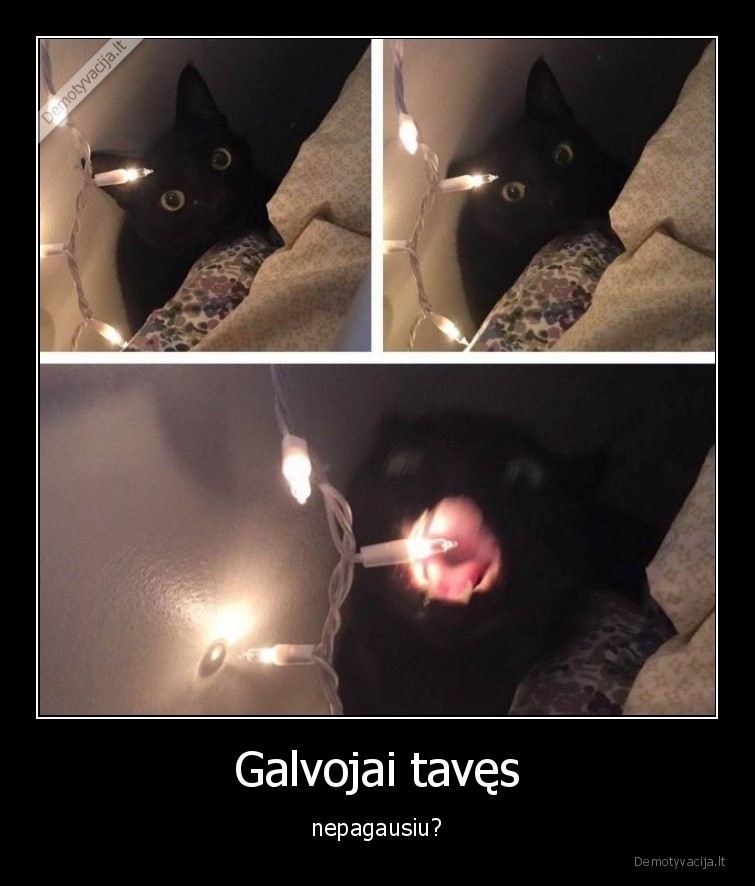 Galvojai tavęs - nepagausiu?