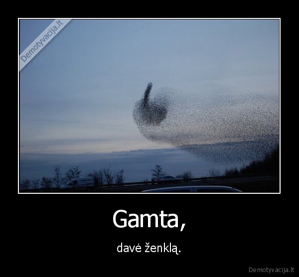 Gamta, - davė ženklą.