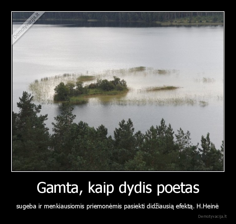 Gamta, kaip dydis poetas - sugeba ir menkiausiomis priemonėmis pasiekti didžiausią efektą. H.Heinė