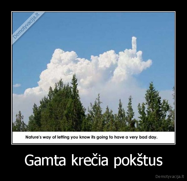 Gamta krečia pokštus - 