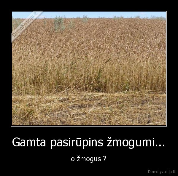 Gamta pasirūpins žmogumi... - o žmogus ?