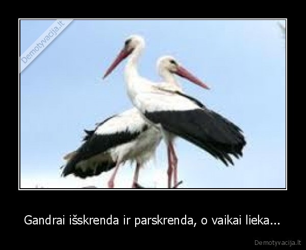Gandrai išskrenda ir parskrenda, o vaikai lieka... - 