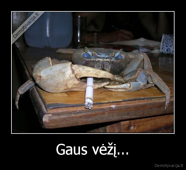 Gaus vėžį... - 