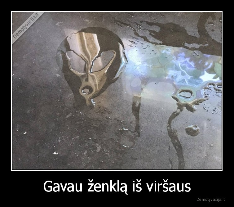 Gavau ženklą iš viršaus - 