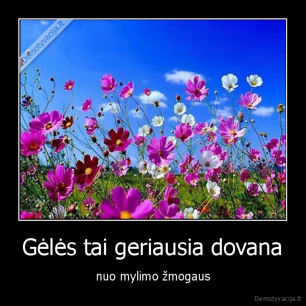 Gėlės tai geriausia dovana - nuo mylimo žmogaus