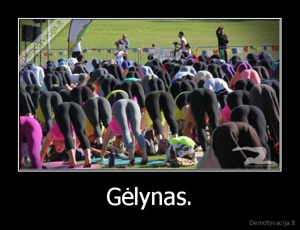 Gėlynas. - 