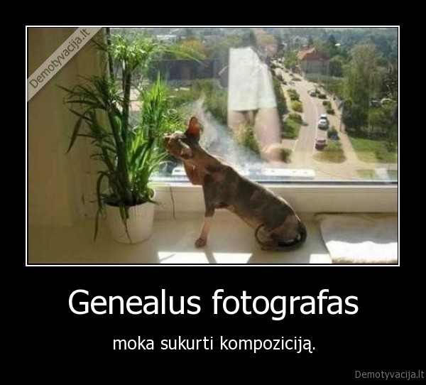 Genealus fotografas - moka sukurti kompoziciją.