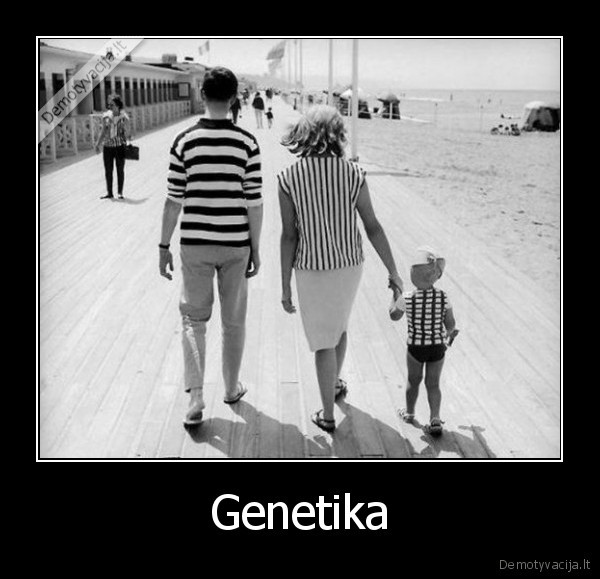 Genetika - 