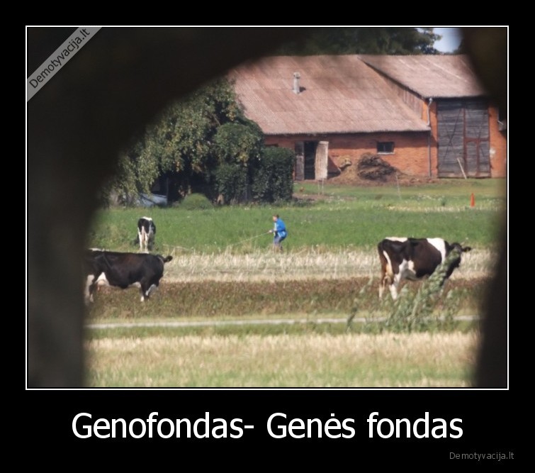 Genofondas- Genės fondas - 