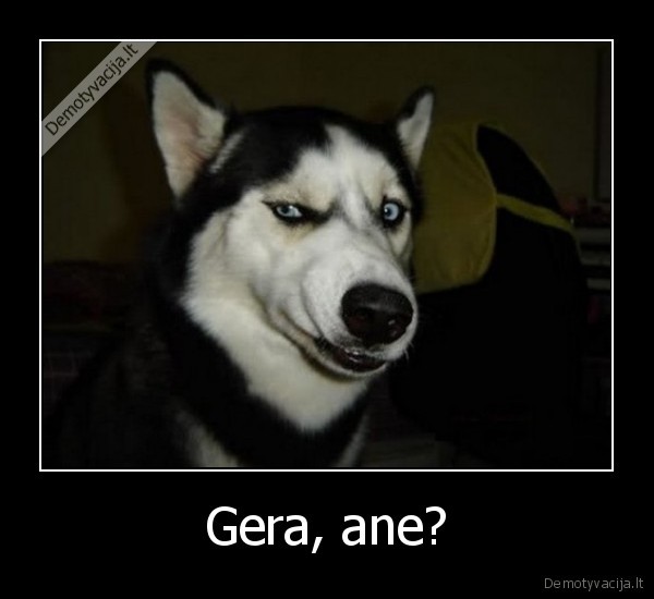 Gera, ane? - 