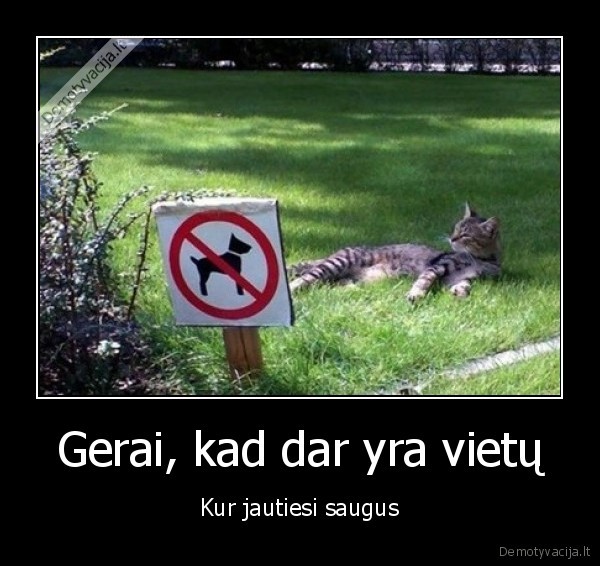 Gerai, kad dar yra vietų - Kur jautiesi saugus