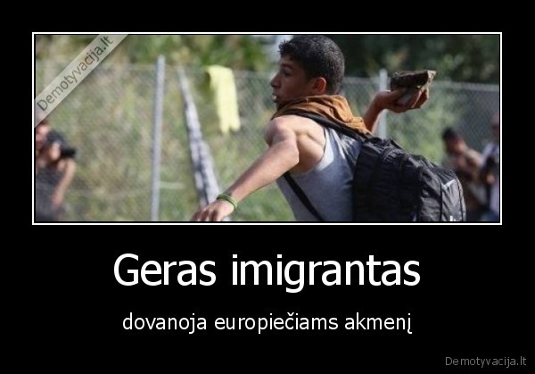 Geras imigrantas - dovanoja europiečiams akmenį