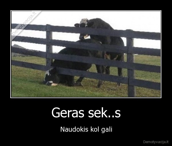 Geras sek..s - Naudokis kol gali