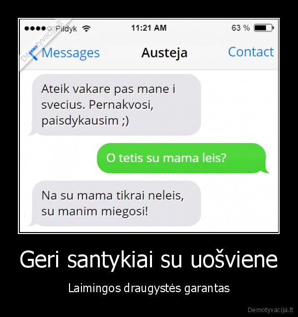 Geri santykiai su uošviene - Laimingos draugystės garantas