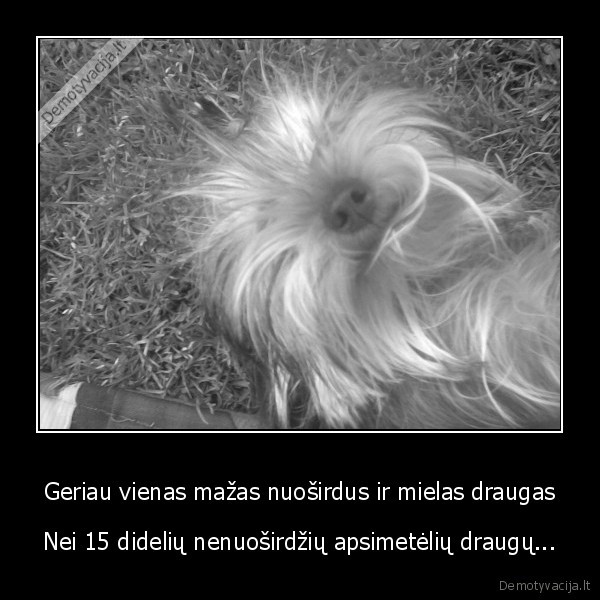 Geriau vienas mažas nuoširdus ir mielas draugas - Nei 15 didelių nenuoširdžių apsimetėlių draugų...