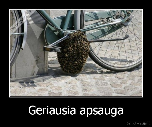 Geriausia apsauga - 