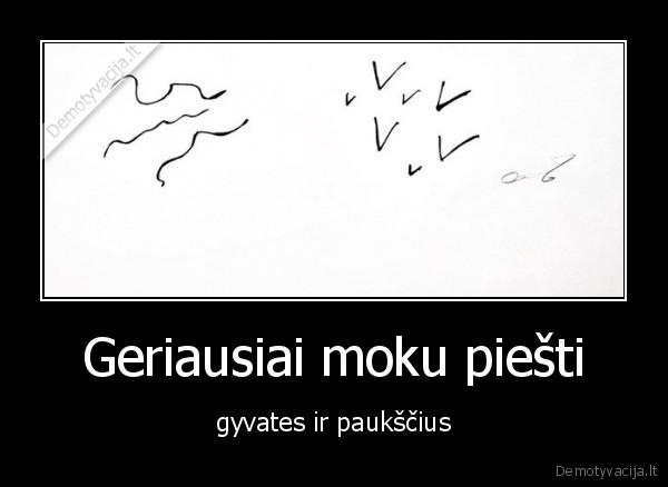 Geriausiai moku piešti - gyvates ir paukščius