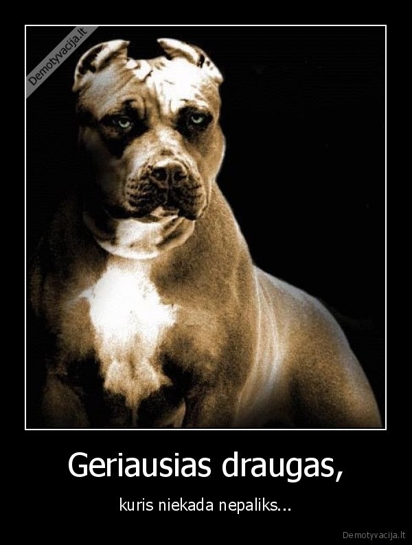 Geriausias draugas, - kuris niekada nepaliks...