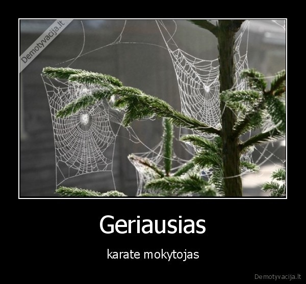 Geriausias - karate mokytojas