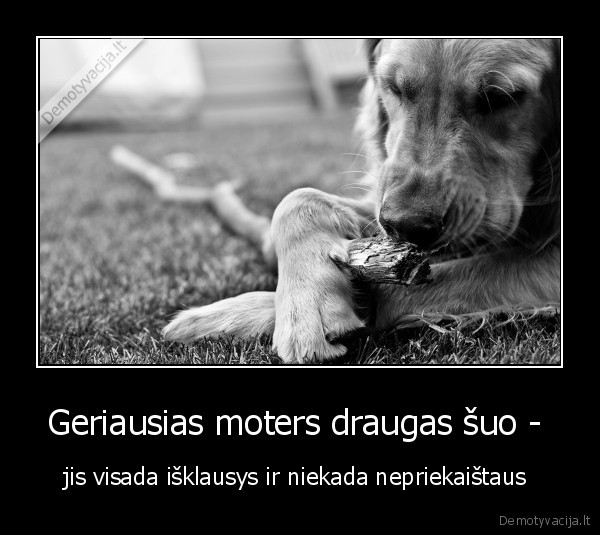 Geriausias moters draugas šuo -  - jis visada išklausys ir niekada nepriekaištaus 