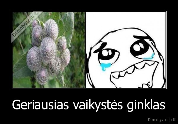 Geriausias vaikystės ginklas - 